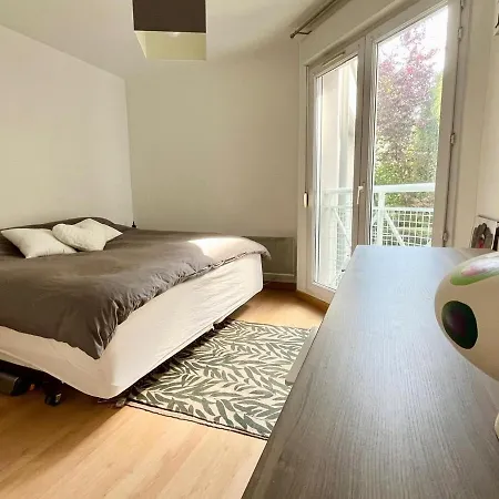 Large In Old Lille, Balcony, Secure Parking *